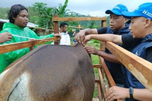 Jaga Amanah Qurban Secara Amanah, Ini Upaya Human Initiative Pastikan Kesehatan Hewan