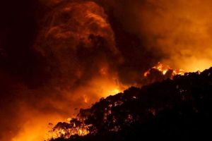 Yunani dan Siprus Tolak Kirim Bantuan untuk Kebakaran Hutan Israel, Ini Alasannya