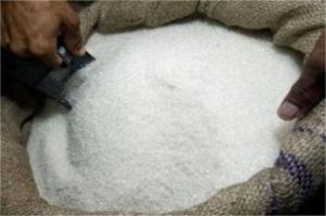 produksi gula lokal Indonesia