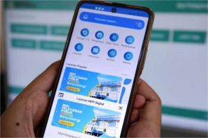 layanan publik digital di Indonesia, digitalisasi birokrasi