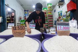 ilustrasi pedagang pasar tradisional menjual beras dengan pasokan dari cadangan pemerintah