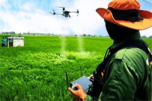 drone pertanian terbang di atas lahan dengan sensor canggih