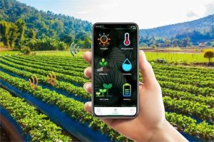 ilustrasi petani menggunakan aplikasi smart farming di lahan pertanian