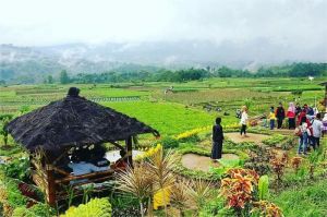 ilustrasi wisatawan lokal menikmati pemandangan alam dan kegiatan wisata di destinasi Indonesia