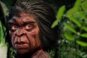Jejak Misterius Manusia Hobbit di Indonesia: Benarkah Mereka Masih Hidup di Pulau Ini?