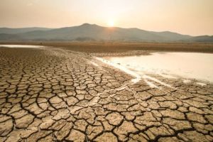 Apakah Bumi Akan Pecahkan Rekor Suhu Tertinggi dalam 5 Tahun? Fakta Mengejutkan dari Laporan WMO
