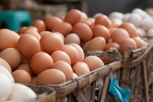 Telur Ayam vs Telur Bebek: Mana yang Lebih Sehat dan Aman Dikonsumsi Setiap Hari? Temukan Jawabannya di Sini!