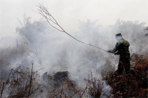 kebakaran hutan 2025 dan lemahnya mitigasi bencana tahunan di Indonesia