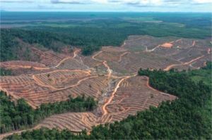 kerusakan lingkungan di Indonesia dan upaya perlindungan alam