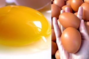 Manfaat Ini Dia Kuning Telur untuk Kesehatan dan Tips untuk Mendapatkan Khasiatnya, Yuk Simak!