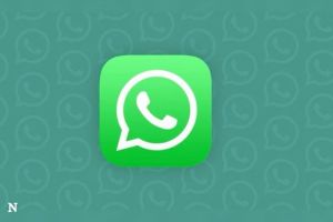 WhatsApp Resmi Hadir untuk Pengguna iPad, Hadirkan Beragam Fitur Menarik