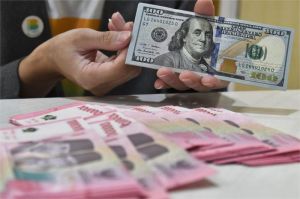 fluktuasi nilai tukar rupiah dan dampaknya terhadap ekonomi Indonesia