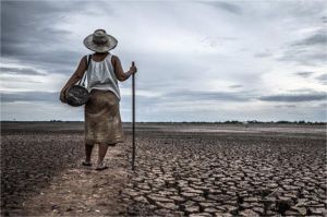 ketahanan pangan Indonesia terancam cuaca ekstrem