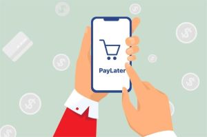 literasi keuangan dan risiko paylater