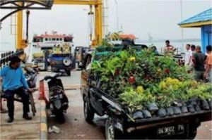 Petani memanen hasil pertanian dengan latar truk ekspor di pelabuhan