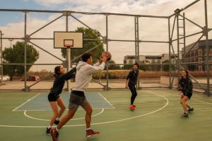 Basket