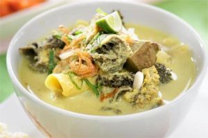 ilustrasi mangkuk soto betawi dengan kuah santan kental dan daging sapi