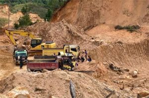 tambang merambah hutan lindung dan ancaman kerusakan lingkungan