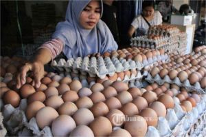tumpukan telur ayam di pasar tradisional dengan label harga naik tajam