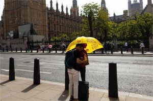 warga London berlindung dari panas terik di bawah pohon taman kota