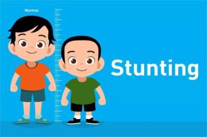 anak stunting dan program gizi