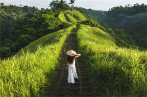 wisatawan menikmati keindahan alam di destinasi wisata Indonesia