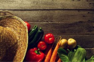 Kandungan Gizi dalam Sayur Rebus