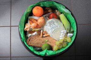 Mengelola Sampah Rumah Tangga demi Kesehatan Lingkungan