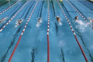 Latihan Dryland untuk Perenang