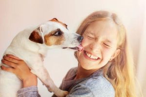 Apakah Aman Membiarkan Wajah Kita Dijilati Anjing?