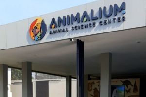 Wisata Sambil Belajar Satwa di Animalium!