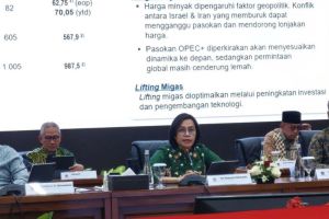 APBN Defisit Rp21 Triliun, Sri Mulyani: Masih Sangat Kecil