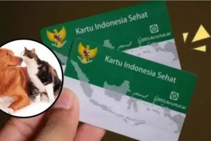 Hewan Peliharaan di Jakarta Akan Dapat BPPJS Kesehatan Mulai 2026