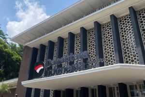Korsel Dukung Danantara Bangun I-Wave Seperti K-Pop dan K-Drama