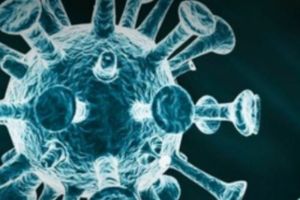 Warga KBB Positif Virus Hanta, Dinkes Langsung Teliti 12 Tikus