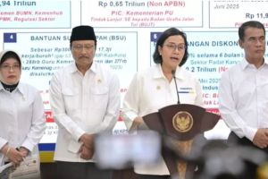 Pemerintah Batal Beri Diskon 50 Persen Tarif Lirstrik Juni-Juli 2025