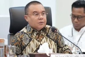 Sufmi Dasco Minta Kemenlu Siapkan Hotline Sebagai Upaya Evakuasi WNI di Iran