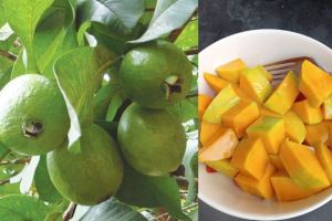 Ini Dia Buah-Buahan Alami Yang Dapat Membantu Meredakan Asam Urat, Apa Aja? Yu Lihat!
