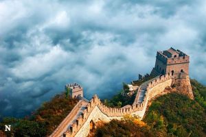 Basis Data Sifat Benih di China: Menciptakan Jembatan dalam Penelitian Global