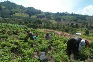 Dorong Swasembada Pangan, Fadli Zon Soroti Peran Organisasi Tani
