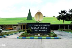 Bandara EL TARI