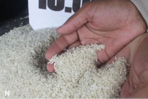 Isu Beras Oplosan, Legislator Minta Food Station Transparan dan Audit Internal Segera Dilakukan