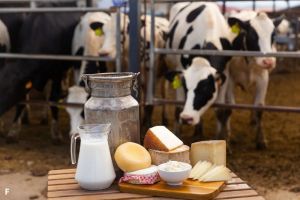 Kota di Italia yang Punya Mesin Otomatis Penjual Susu Segar