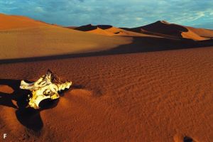 Rahasia Batu Bernyanyi di Gurun Namibia