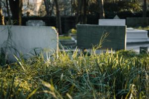 Makam