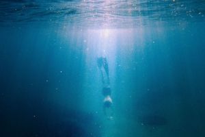 Laut