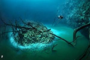 Sungai Misterius: Fenomena Alami Sungai Mengalir di Bawah Laut