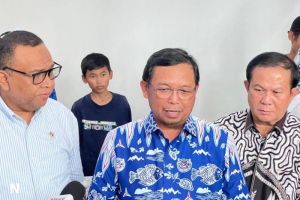 Sekjen Demokrat terkait Bendera One Piece