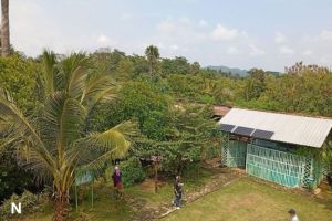 Kelompok Sida Asih Berhasil Wujudkan Konservasi Mangrove Jadi Wisata Edukasi di Cilacap