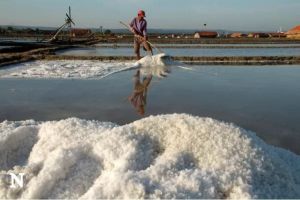 Ajinomoto Dorong Gaya Hidup Sehat dengan Kampanye “Bijak Garam” untuk Tekan Risiko Penyakit Jantung dan Hipertensi